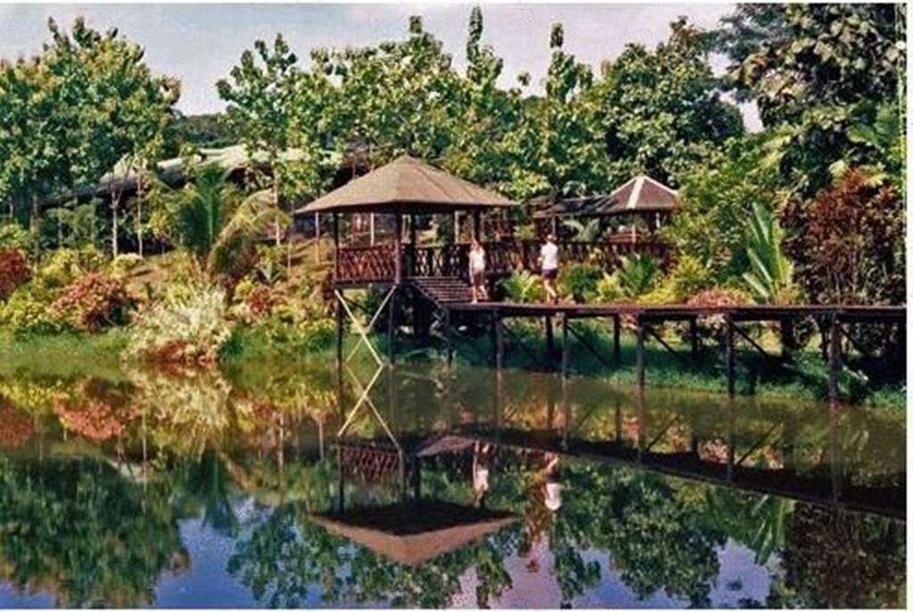 Sepilok Jungle Resort Εξωτερικό φωτογραφία