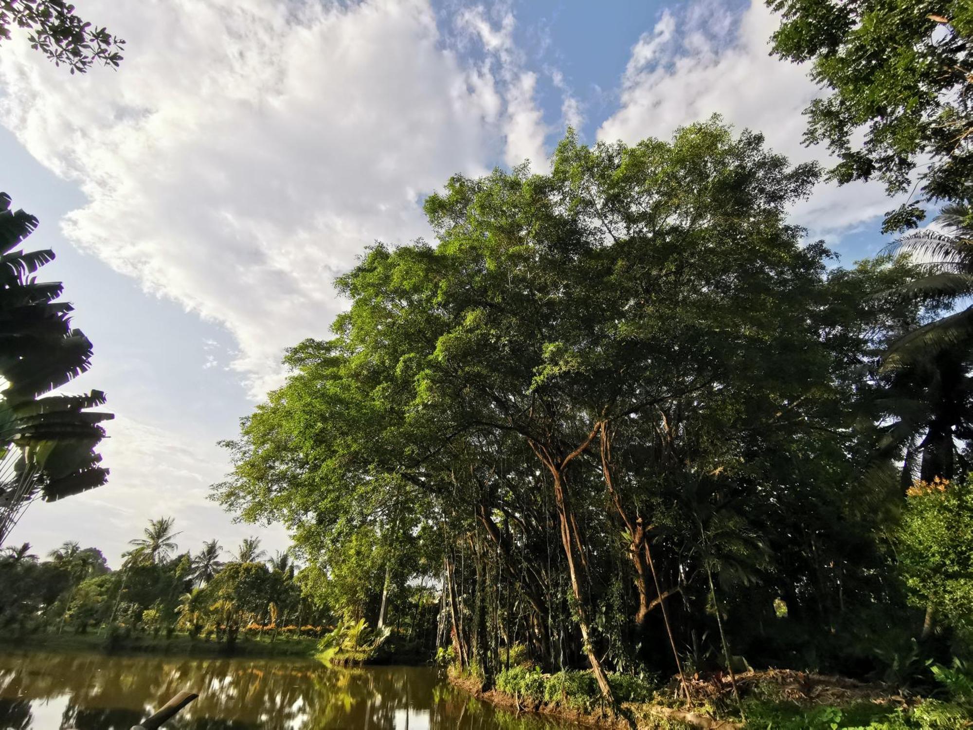 Sepilok Jungle Resort Εξωτερικό φωτογραφία