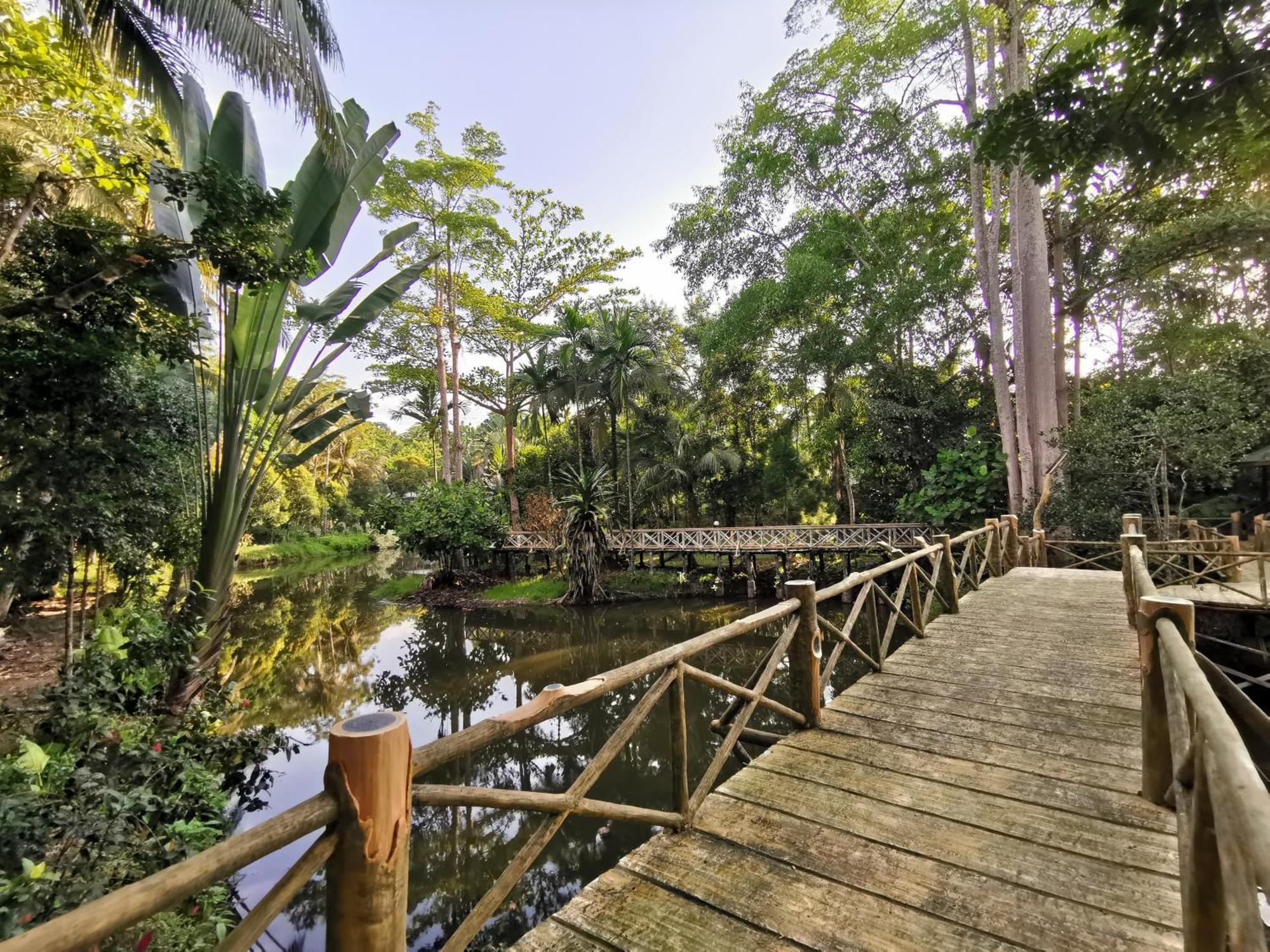 Sepilok Jungle Resort Εξωτερικό φωτογραφία