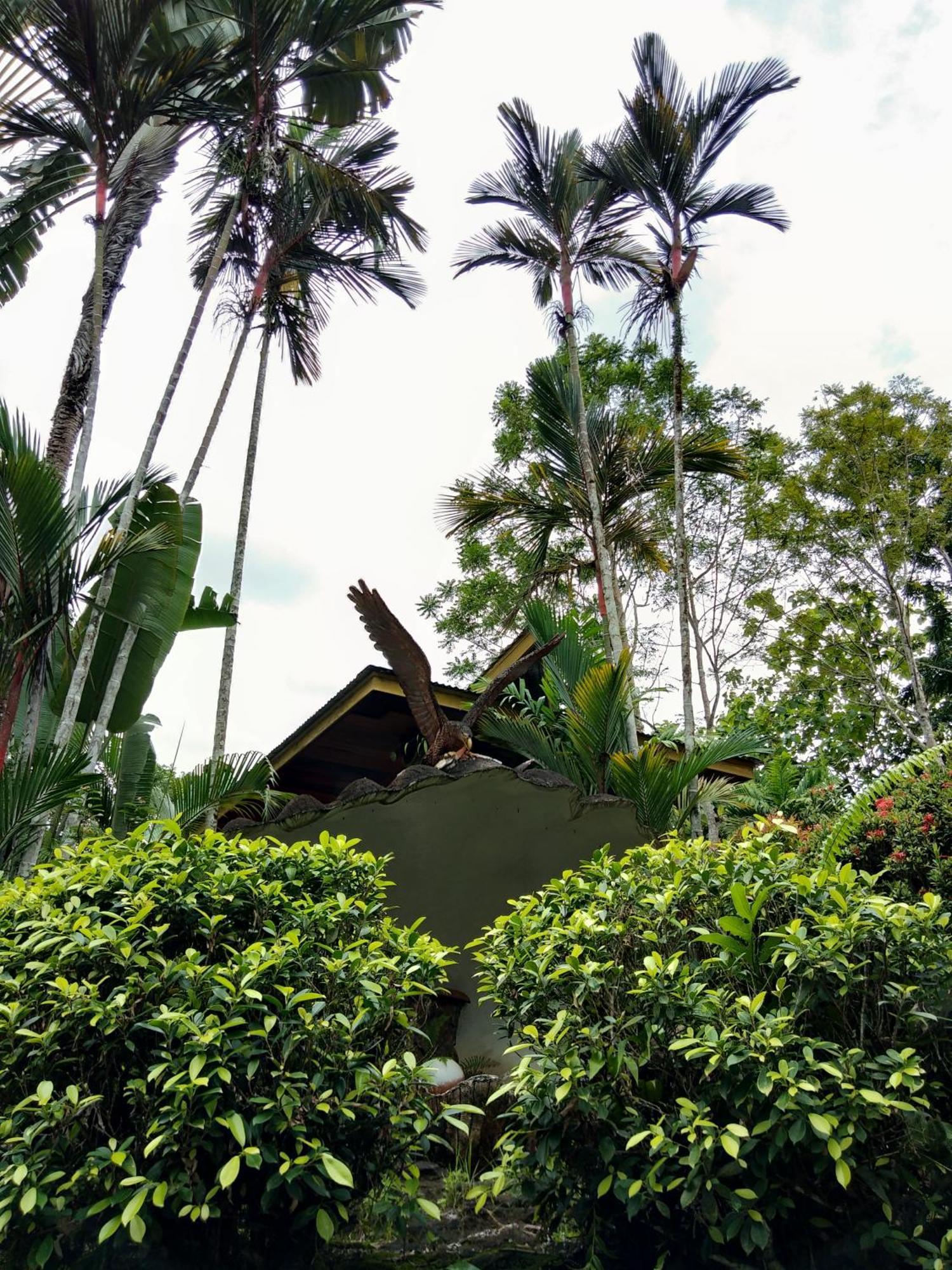 Sepilok Jungle Resort Εξωτερικό φωτογραφία